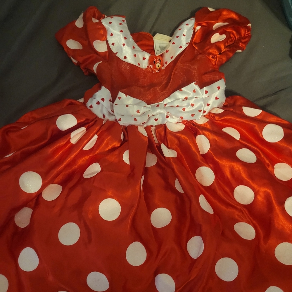 Minnie mouse costume